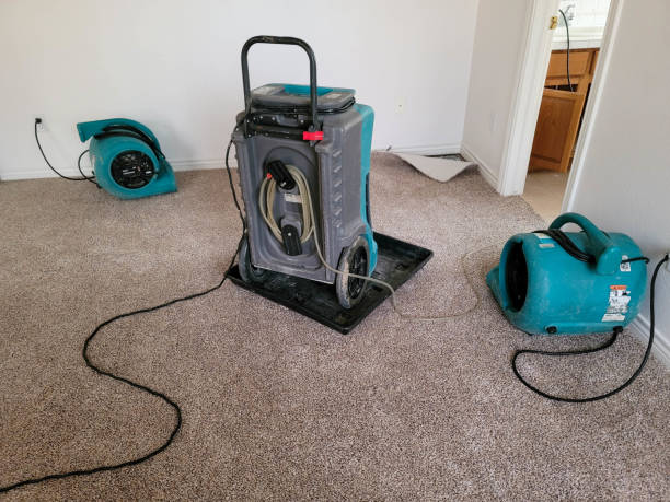 Best Water damage restoration mold remediation  in Sioux Center, IA