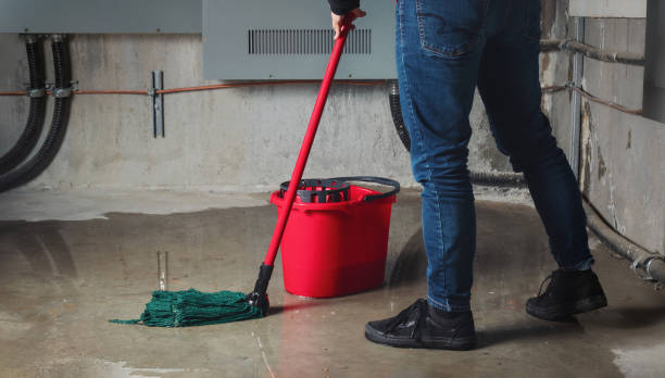 Trusted Sioux Center, IA Water damage restoration Experts