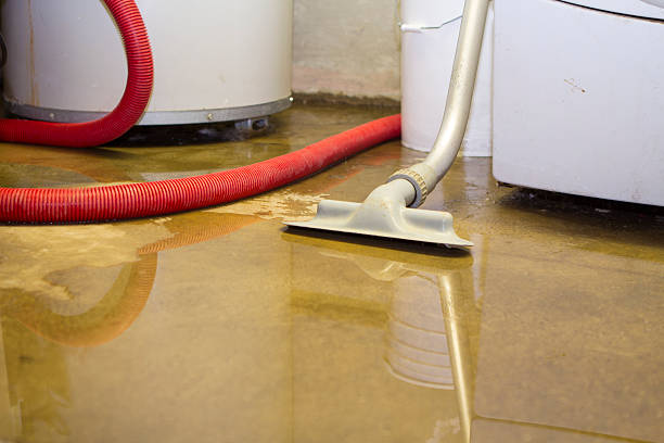 Best Water damage restoration company  in Sioux Center, IA