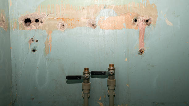 Best Commercial water damage restoration  in Sioux Center, IA