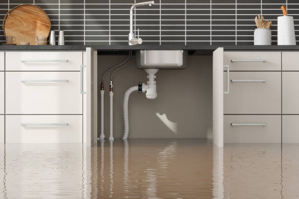 Best Residential water damage restoration  in Sioux Center, IA