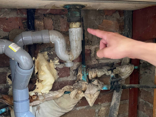 Best Basement water damage restoration  in Sioux Center, IA