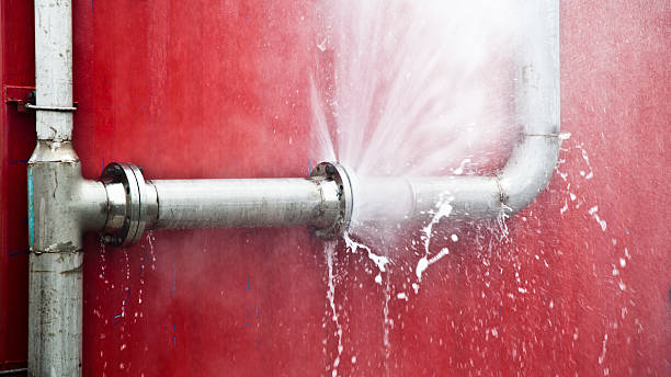Best Carpet water damage restoration  in Sioux Center, IA
