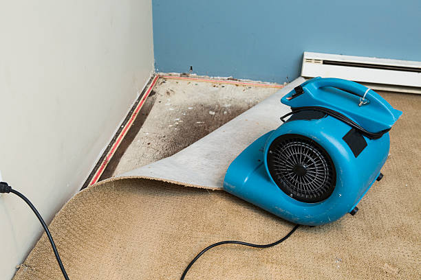Best Flood damage cleanup  in Sioux Center, IA
